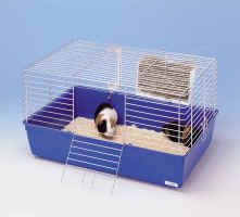 A guinea pig in its cage